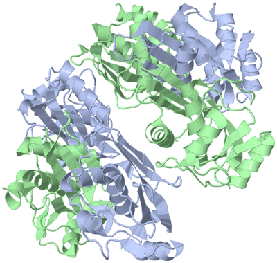 Image Biological Unit 1