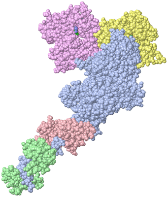 Image Asym./Biol. Unit