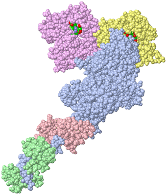 Image Asym./Biol. Unit - sites