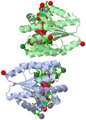 Image Asym./Biol. Unit - sites