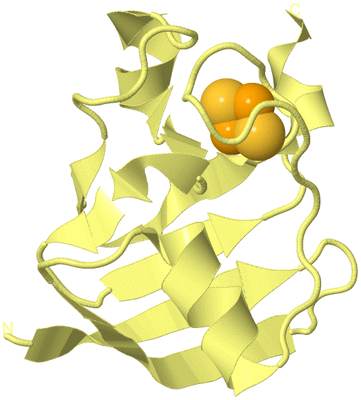 Image Biological Unit 4