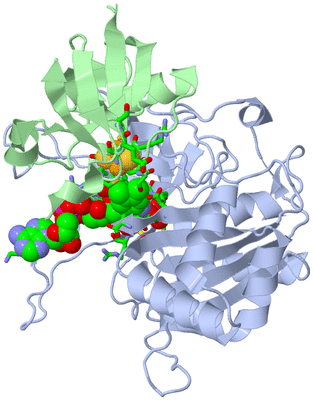 Image Biol. Unit 1 - sites