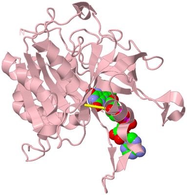 Image Biological Unit 2