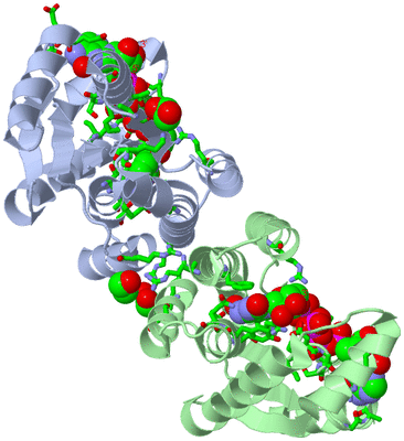 Image Asym./Biol. Unit - sites