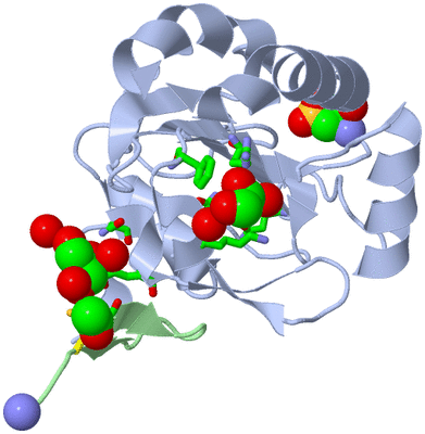 Image Asym./Biol. Unit - sites