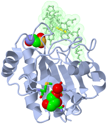 Image Asym./Biol. Unit - sites