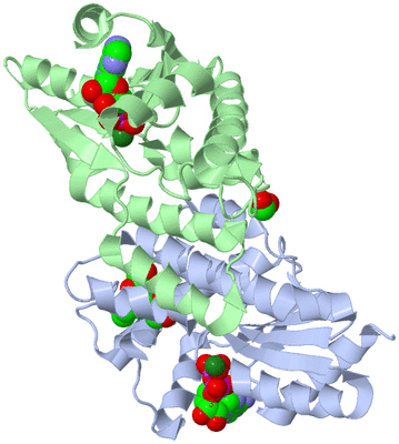 Image Asym./Biol. Unit