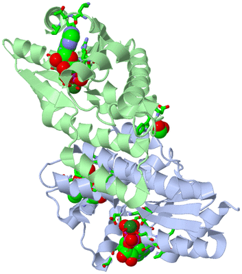 Image Asym./Biol. Unit - sites