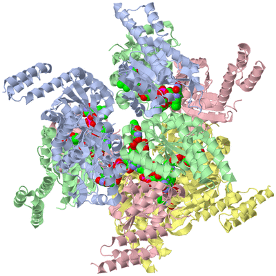 Image Biological Unit 1