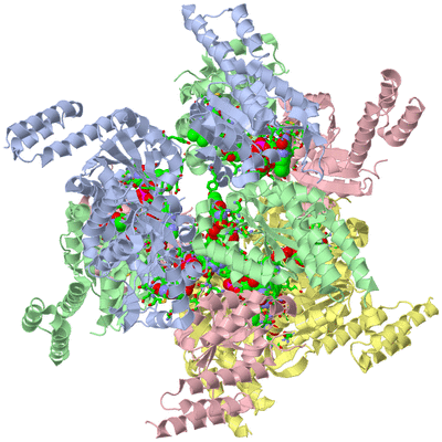 Image Biol. Unit 1 - sites