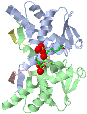 Image Asym./Biol. Unit - sites