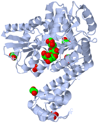 Image Biological Unit 1