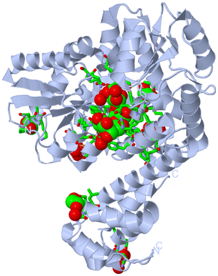 Image Biol. Unit 1 - sites