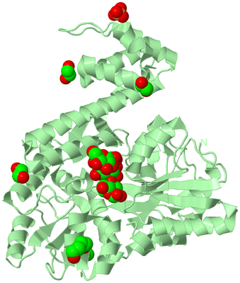 Image Biological Unit 2