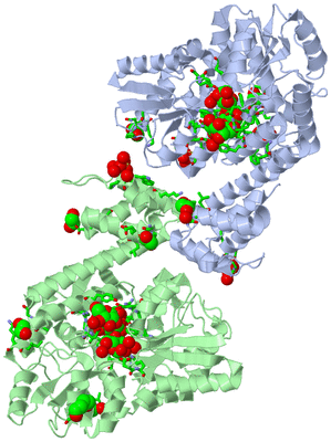 Image Asym. Unit - sites