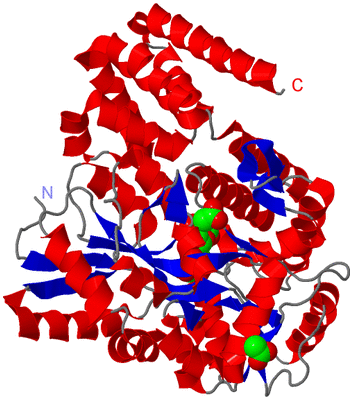 Image Asym./Biol. Unit