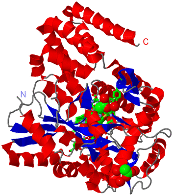 Image Asym./Biol. Unit - sites