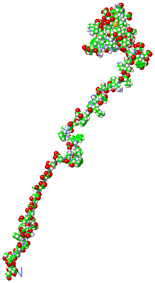 Image NMR Structure - model 1