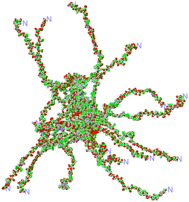 Image NMR Structure - all models