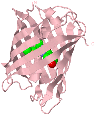 Image Biological Unit 3