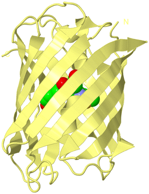 Image Biological Unit 4