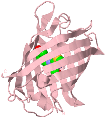 Image Biological Unit 3