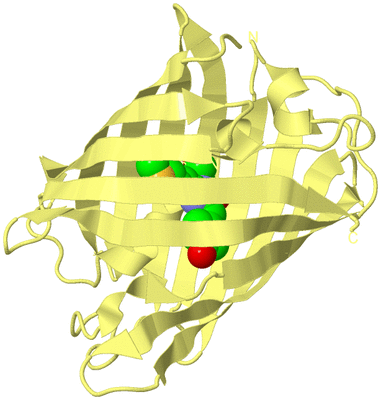 Image Biological Unit 4