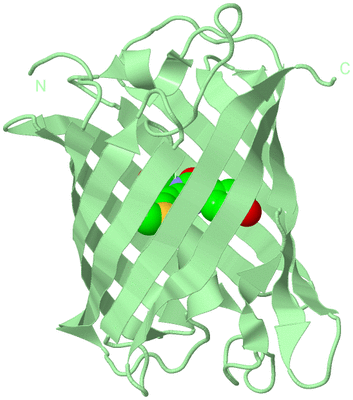 Image Biological Unit 2