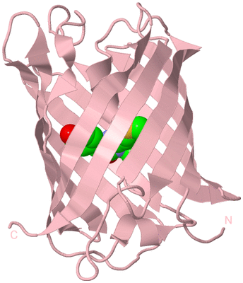 Image Biological Unit 3