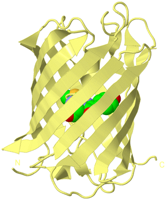 Image Biological Unit 4