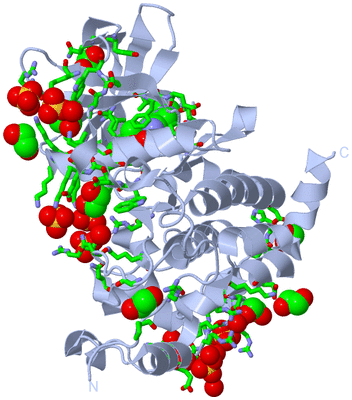 Image Biol. Unit 1 - sites