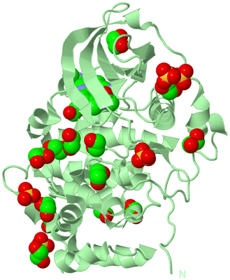 Image Biological Unit 2