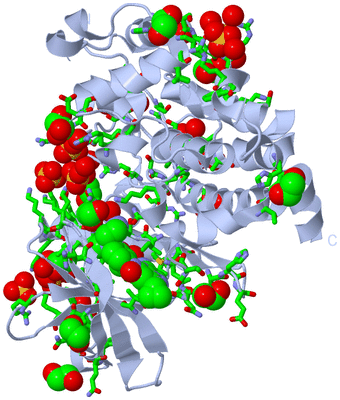 Image Biol. Unit 1 - sites