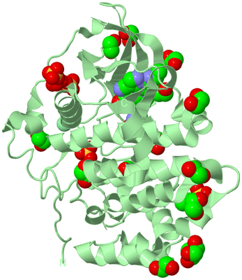 Image Biological Unit 2