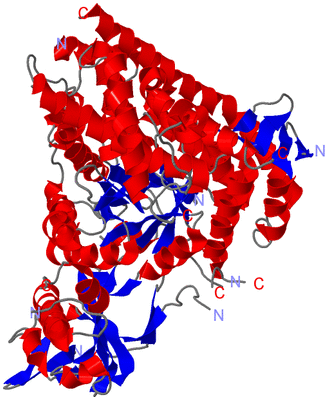 Image Asym./Biol. Unit