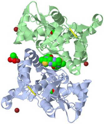 Image Biological Unit 1