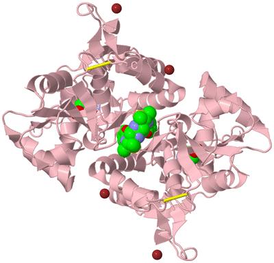 Image Biological Unit 2