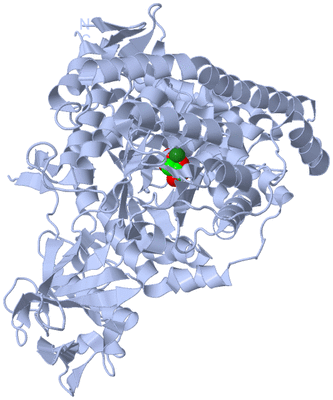 Image Biological Unit 1