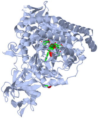 Image Biol. Unit 1 - sites