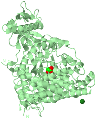 Image Biological Unit 2