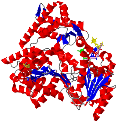 Image Asym./Biol. Unit