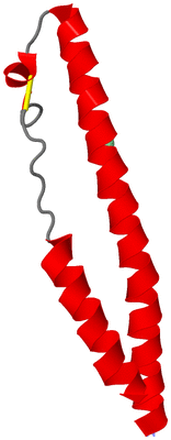 Image Asymmetric Unit