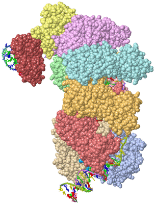 Image Asym./Biol. Unit