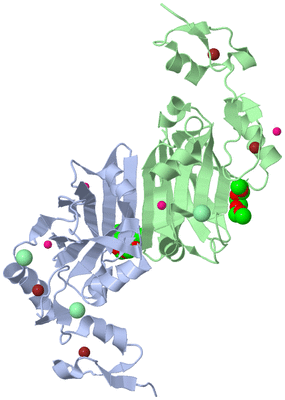 Image Asym./Biol. Unit