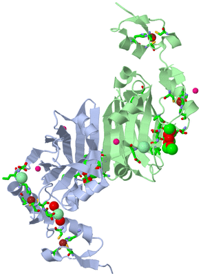 Image Asym./Biol. Unit - sites