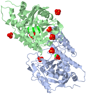 Image Asym./Biol. Unit