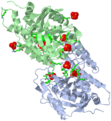 Image Asym./Biol. Unit - sites