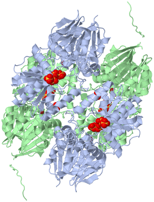 Image Biological Unit 1