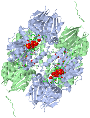 Image Biol. Unit 1 - sites