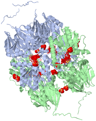 Image Biological Unit 1